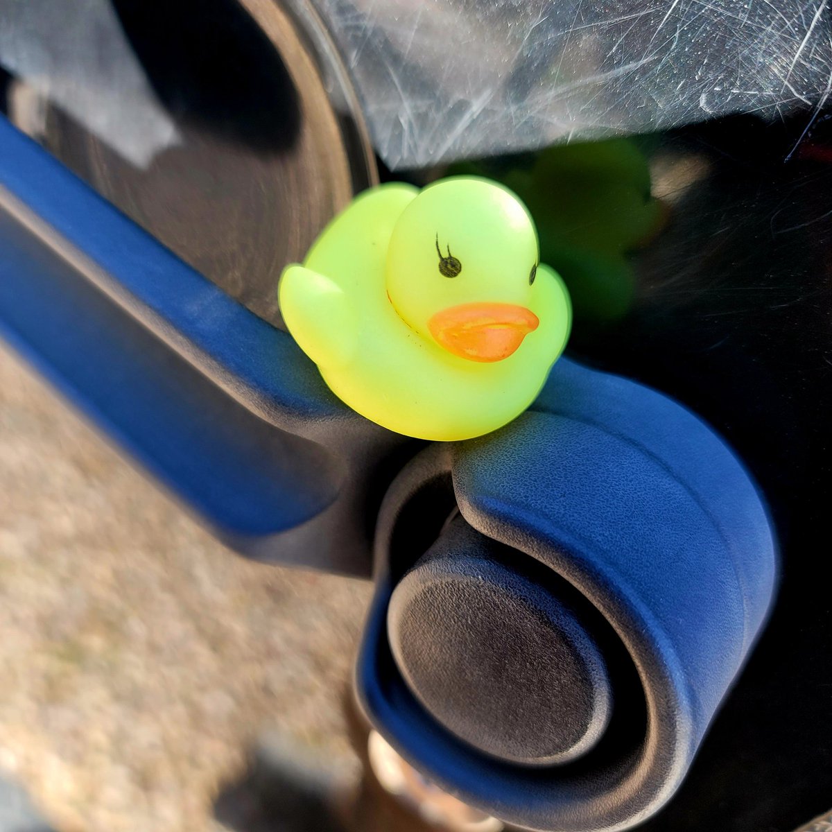 Jasonwbriscoe's tweet photo. I got ducked while shopping for Jenny's food and treats today. 🙂

#duckduckjeep https://t.co/nVXfx4KJS5