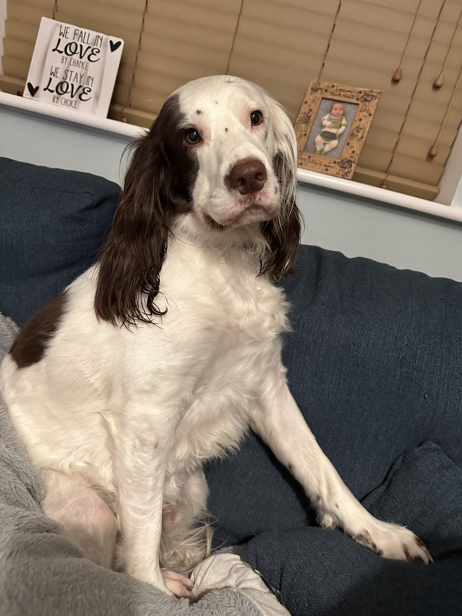 I’ve been away for one night and this is the sass I get when I get home… 🥰