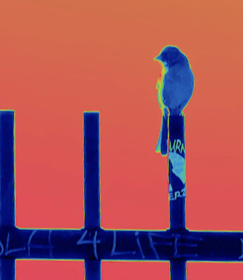 dabbingmagician's tweet image. #lababy