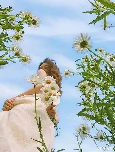 DanSitaram's tweet photo. 女人花美，愿你被真爱映照更缤纷；女人花娇，愿你被真情保护能长存；女人花香，愿你被真诚点缀醉显神韵。祝福天下的所有女子，生活幸福，好梦成真。女神节快乐！ https://t.co/8Ah9h6c8vH