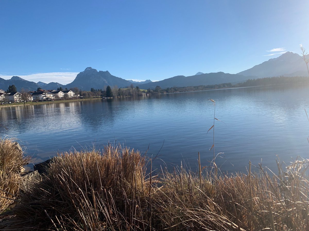 MarkusM80033441's tweet photo. Frühling am Hopfensee⛰️🌼☀️🥰#sonne #Wochenende #allgäu #fuessen #hopfensee #landschaft #see https://t.co/xKxUA10yAp