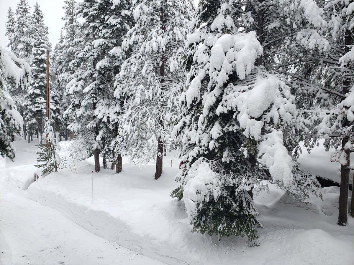 home for the weekend