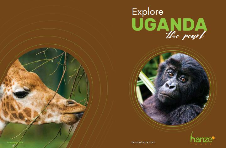 Uganda🇺🇬 to the world. Let’s make this viral #EXPLOREUGANDA with👇👇👇👇 @hanzetours , @UgandaUncovered @greatlionssafar @ExploreUganda, @WillsAfricaTour , @Beingsayedul, @CNN,@NatGeo,@MTWAUganda,@LillyAjarova @wekesa_amos @emeka_ug @ugwildlife @Nabimara_paul @MacklineAsiimi1