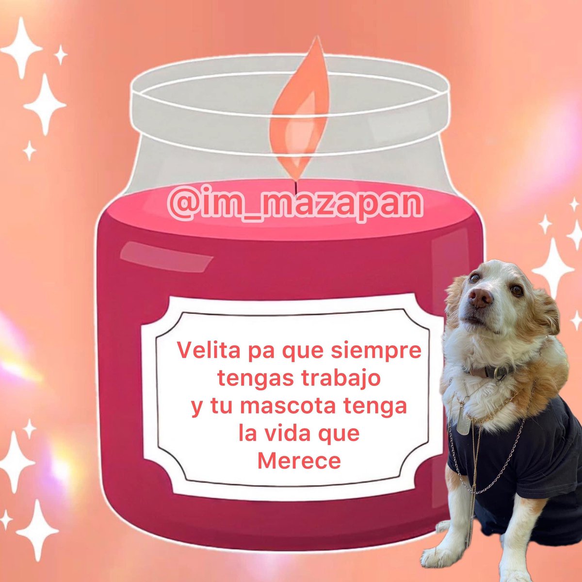 GatosPty's tweet photo. Feliz Sábado 💗🐱🐶 https://t.co/v7ouqSuBQh