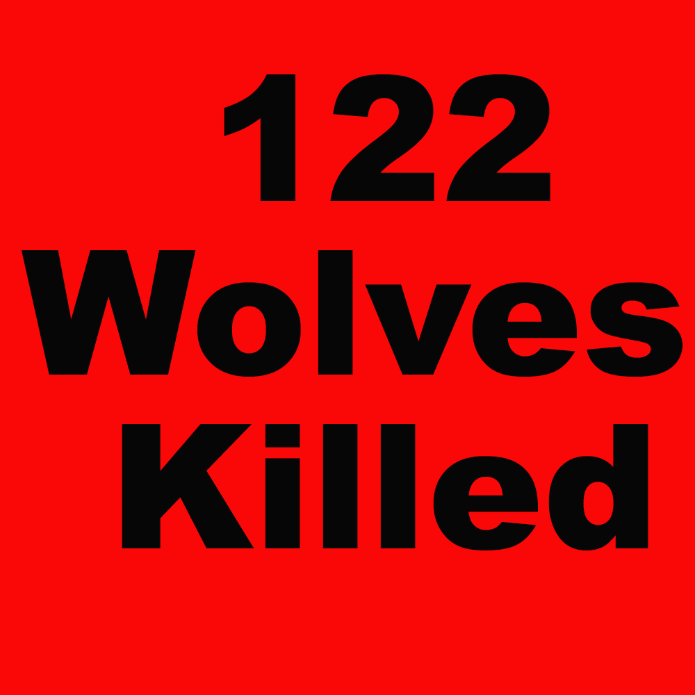 Another bad day. 2 more Montana wolves killed yesterday. As of January 7, 2023, Montana has killed 122 wolves. This doesn't include poaching and other human-caused mortality. Join the fight to protect our wolves an wildlife.info@wolvesoftherockies.org
#mtfwp,#Takebackourwildlife