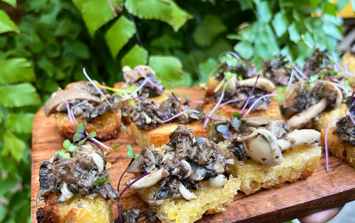 chefbrigetterj's tweet photo. Cocktail Hour Treats 🤩😍
Mini “Bake & Shark” Tacos
Fried King Oyster Mushrooms, Pickled Ochro, Black Garlic Aioli
Truffled Wild Mushroom Crostini
#weddings #cheflife #askChefB https://t.co/Y89iehYJIu