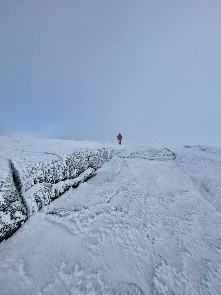 Wassim (@wssm6) on Twitter photo 