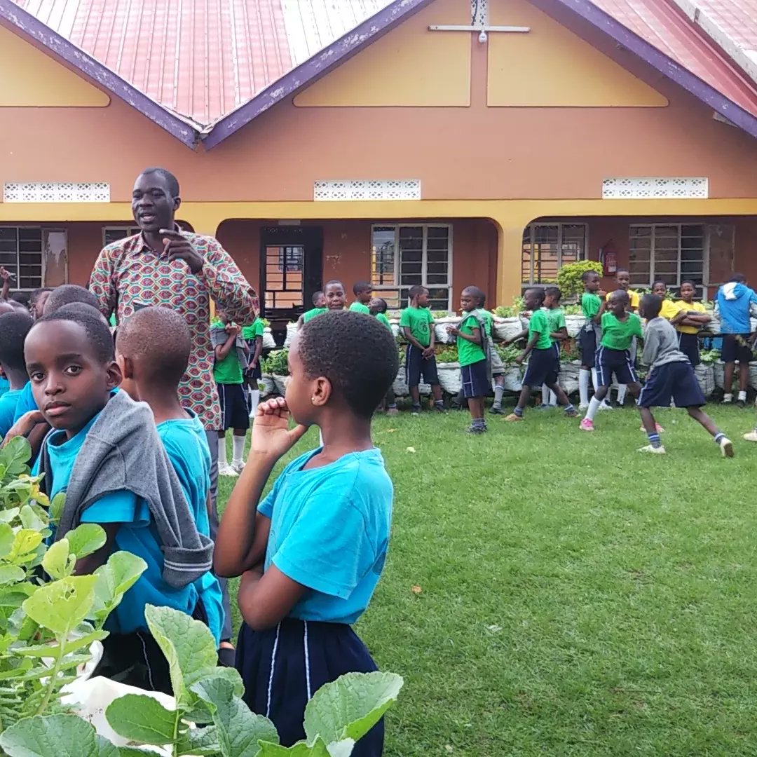 pearljuniorsch's tweet photo. Rabbit rearing and vegetable growing is key to Young people's development. It changes their mentality and instills love for farming.

#EnablingTomorrow
#discoveryourgem
#2023年
#FarmingChallenge https://t.co/WBysMAzvxl
