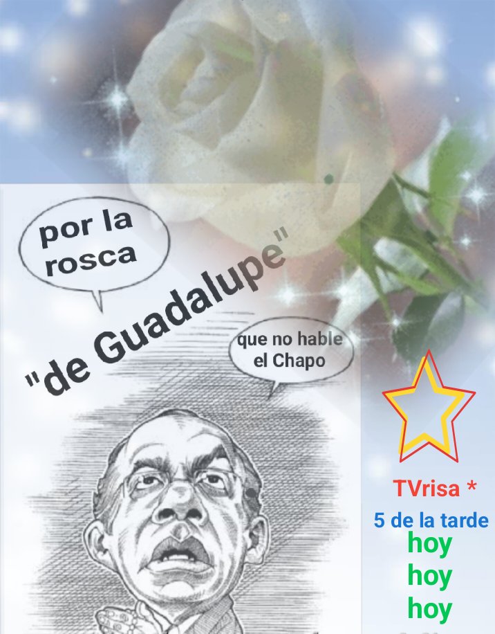 JulioValioso's tweet photo. @teresacastellmx @lopezobrador_ Diputada Teresa no puedes ocultar tu amor por el Usurpador,  ya que,. https://t.co/BLcvuSl0y0