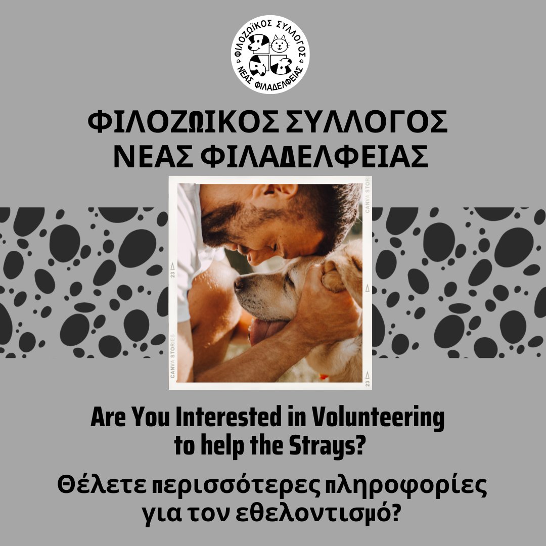 Filozoikos_nf's tweet photo. Φιλoζωικος Ν. Φιλαδέλφειας 💖 Friends of Animals NF / Είμαστε 100% εθελοντικό καταφύγιο, που λειτουργεί στην καρδιά της πόλης μας. https://t.co/R3ItcOSiL6 #rescuedog #rescuecat #dogsofinstagram #athensgreece #visitathens #straysofinstagram #straysarethebest #straysofgreece https://t.co/FtHIl7N3ir