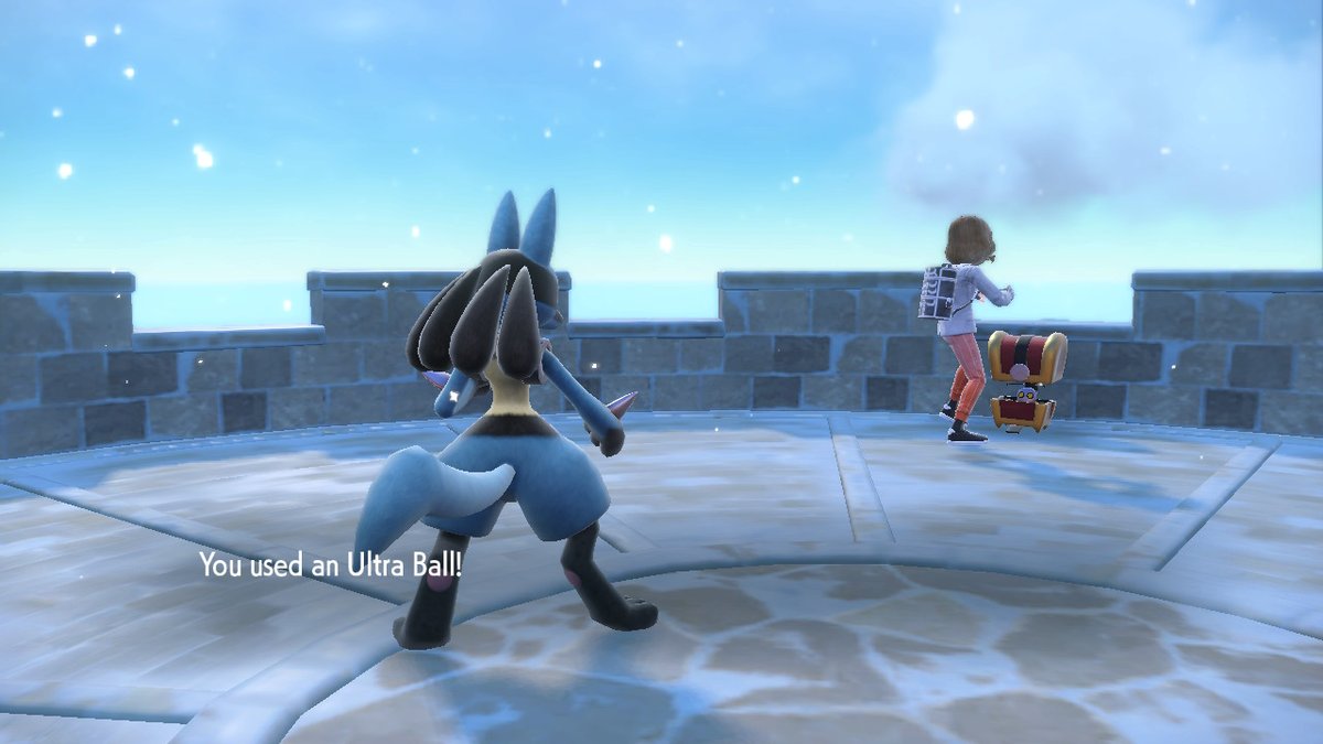 Shock_Kollar's tweet photo. Pokemon Scarlet is a completely functional game with absolutey no glitches whatsoever https://t.co/3Z0BydtZNJ