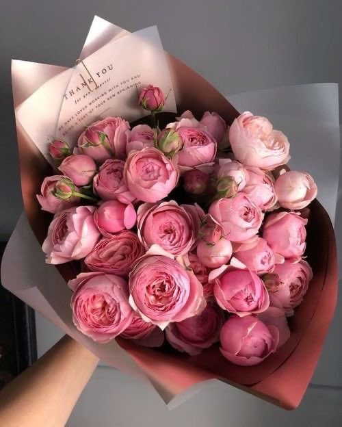 iBlairWaldorf_'s tweet photo. Necesito peonias para vivir mi sueño de gossip girl https://t.co/ly7lzb36z7