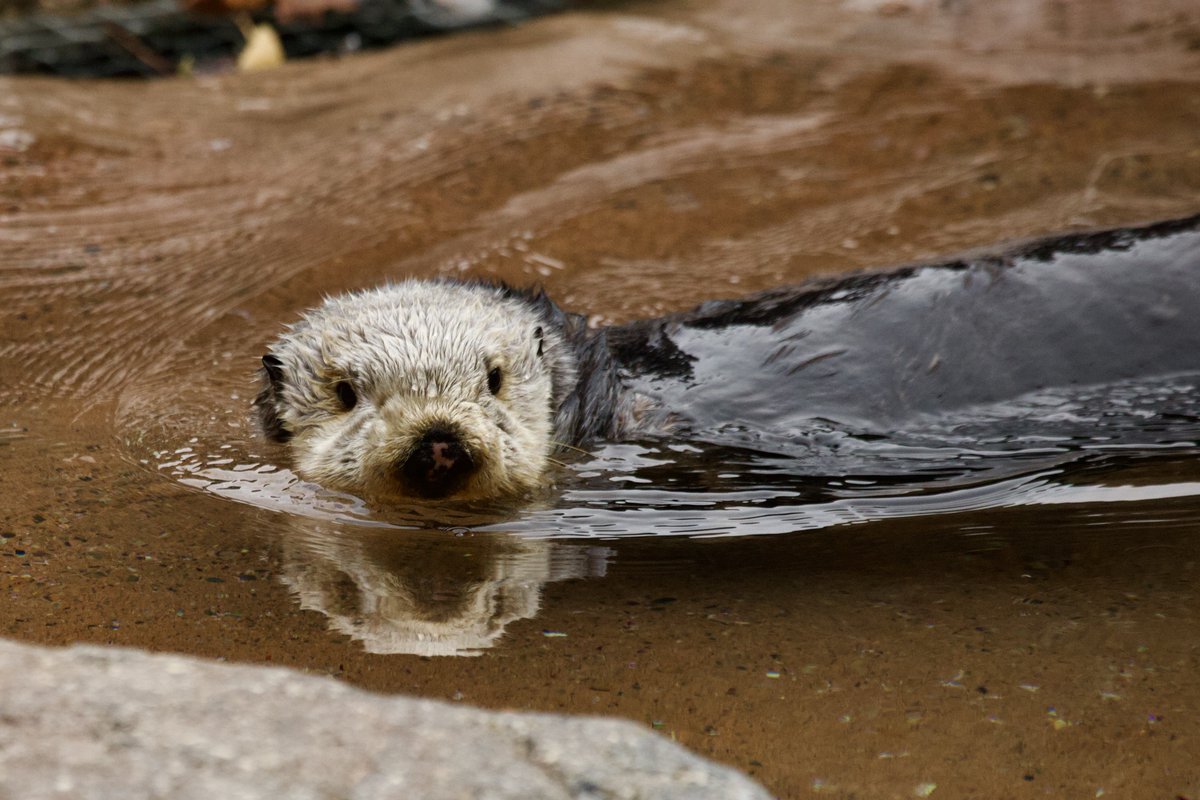 CaseyBroda's tweet image. Love trying to find reflections. 
#ShadowsReflects