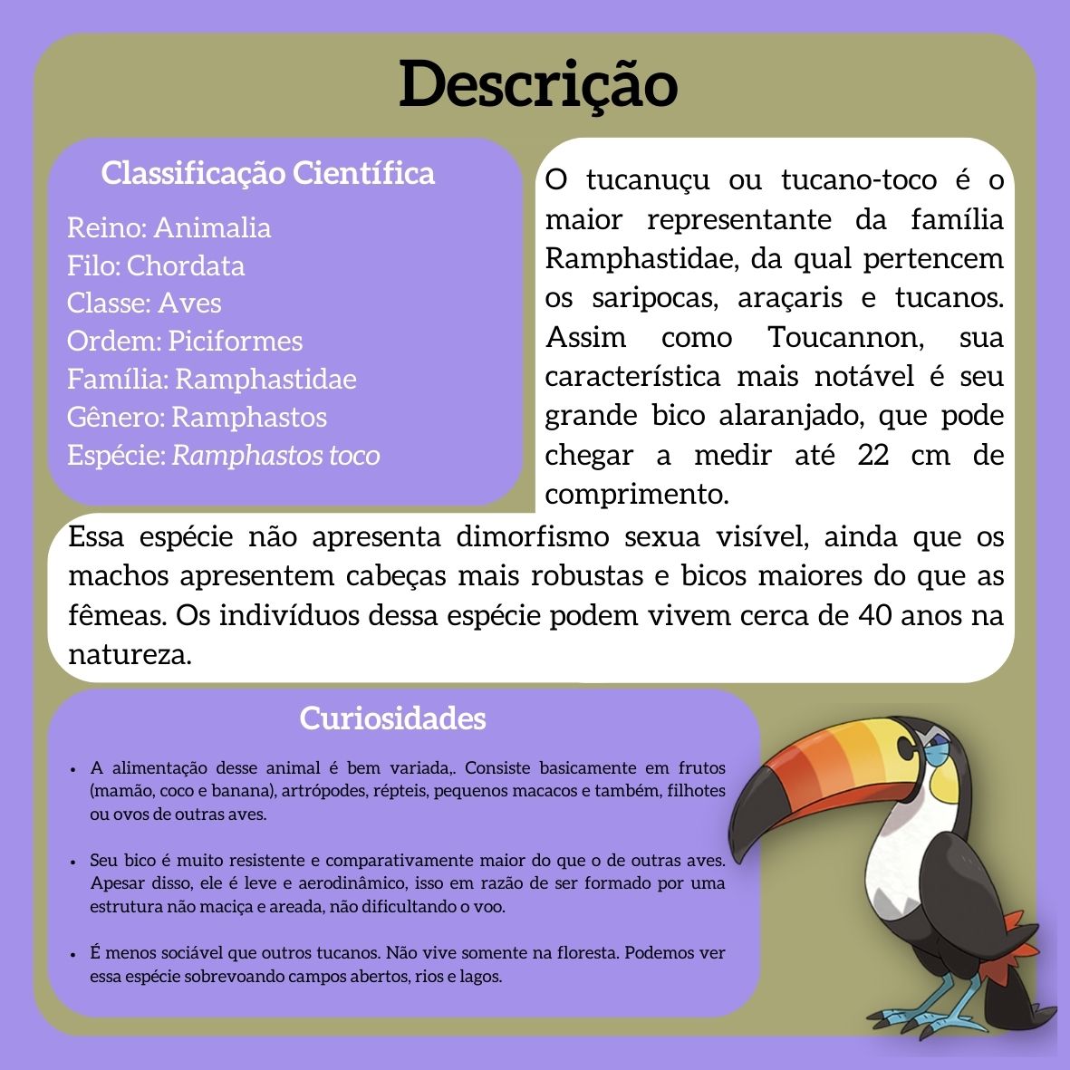 biodex_l's tweet photo. Tucano-Toco (Ramphastos toco)

◾ No universo Pokémon, este organismo seria do tipo: Voador 🔵| Normal🟡

#biologia #natureza #ciencia #bio #meioambiente #ecologia #biodiversidade #zoologia #botanica #animais #biologo #pokemon #anime #Toucannon #alola #animalia #ramphastostoco https://t.co/VJ95k3BiPr