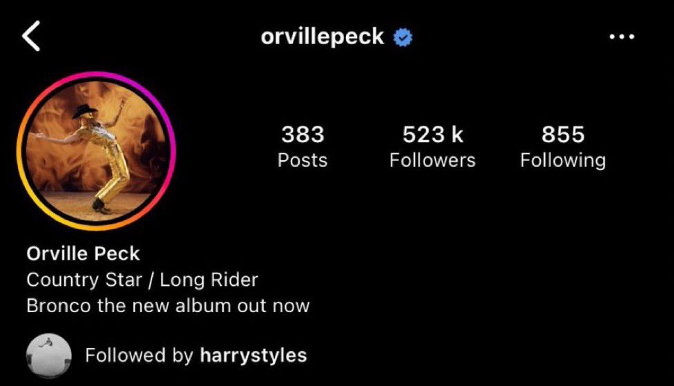 Harry Styles Updates. tweet media