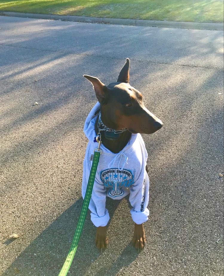 Blest ♰ Boys (@blestboys) on Twitter photo 