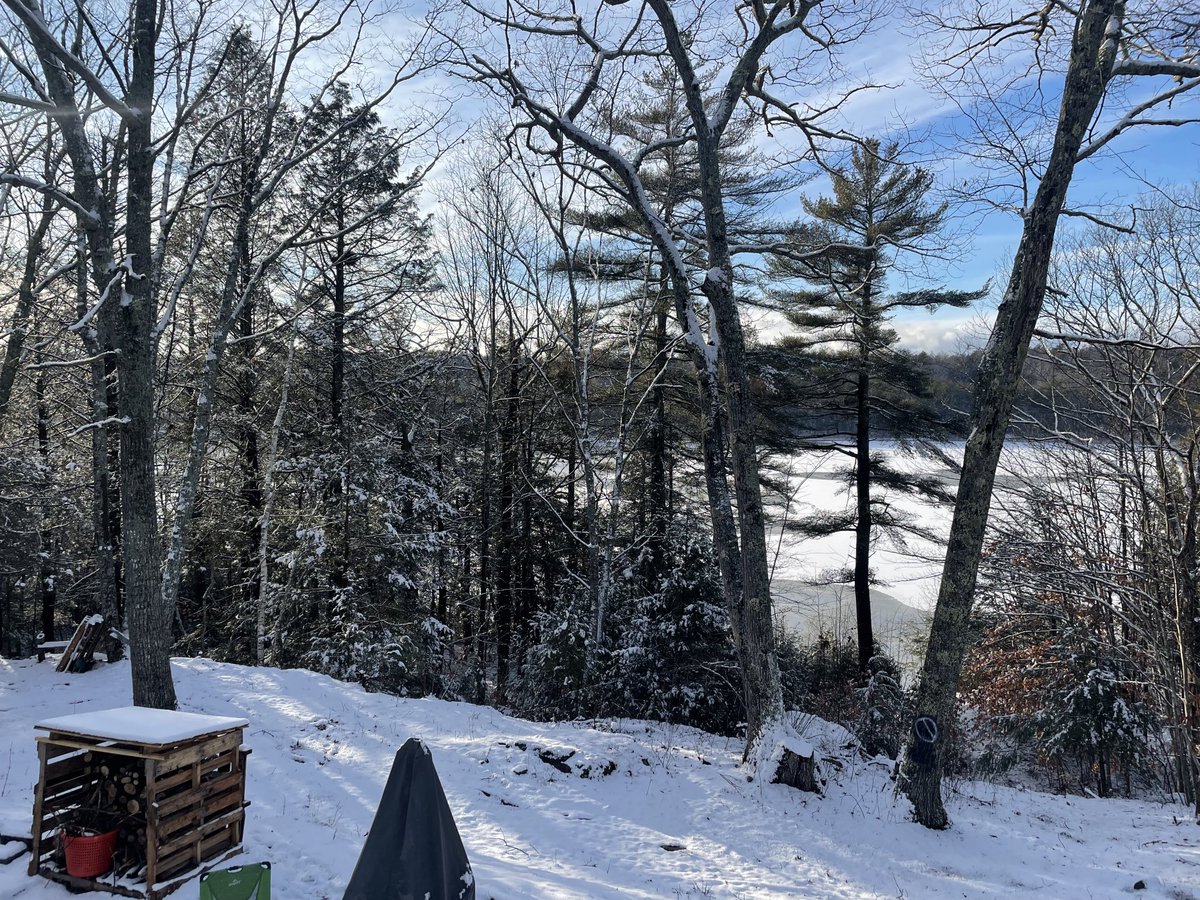 koala_farm's tweet photo. Is there anything more beautiful than sunshine on fresh snow? https://t.co/7dgISbiLPu