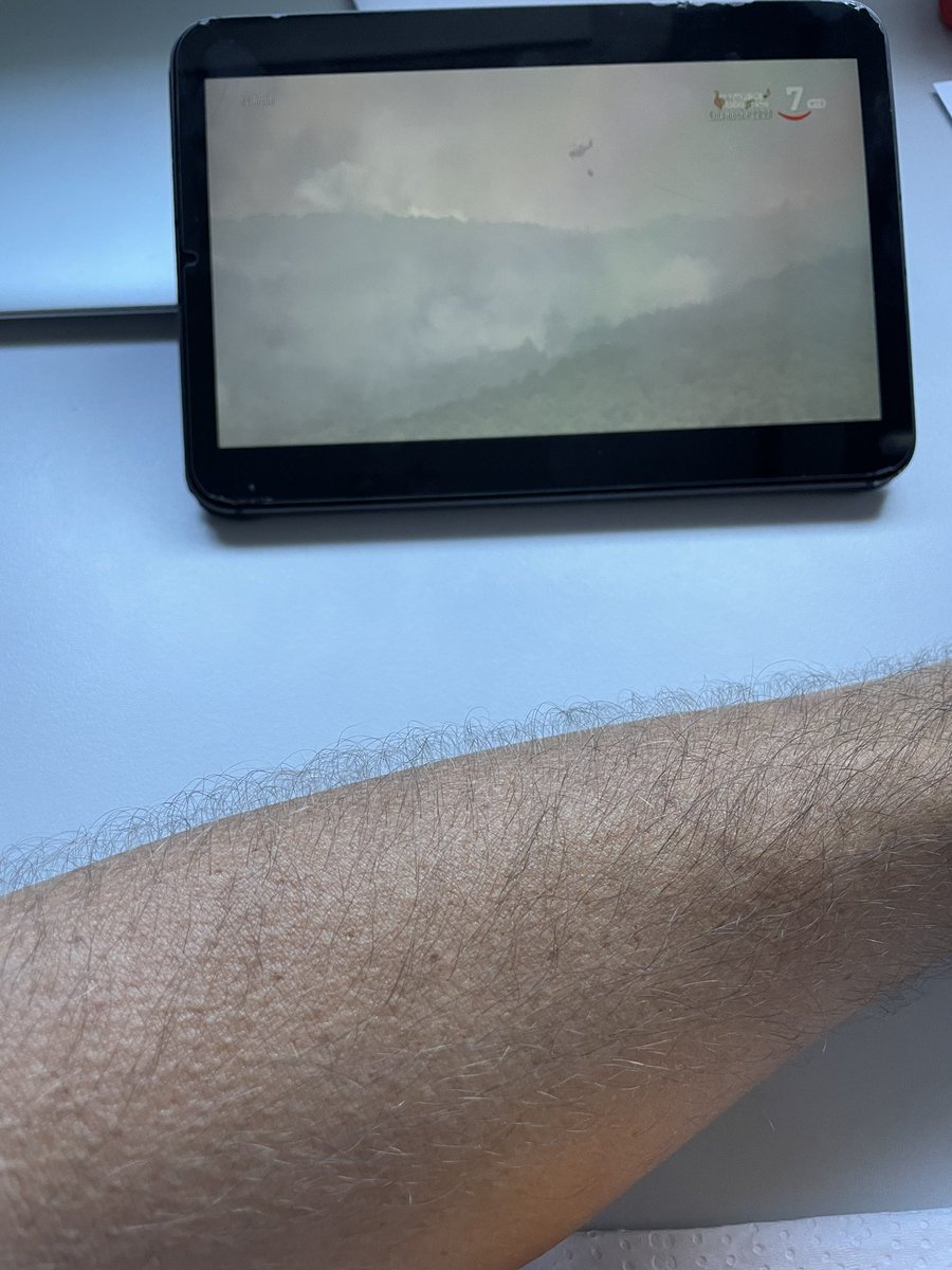 otrperritopilot's tweet image. Piel de gallina viendo #ElArcón a casi 10 mil kilómetros de distancia, de guardia en base, recordando los días del #IFSierraDeLaCulebra 🥺