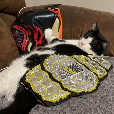 MoxTittyMaster's tweet photo. #NewProfilePic https://t.co/s5f3v15M7M