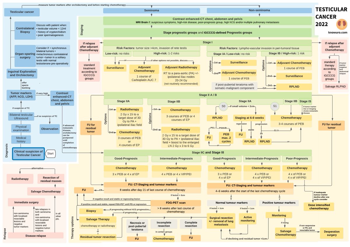 Hello #urology #residents!

Here is a flowchart about #testicularcancer, a great way to have an overview from diagnosis to treatment. 

You can download the PDF on: knowuro.com/goodies

Enjoy! Good luck studying! 😃

#urooncology #oncology #flowchart