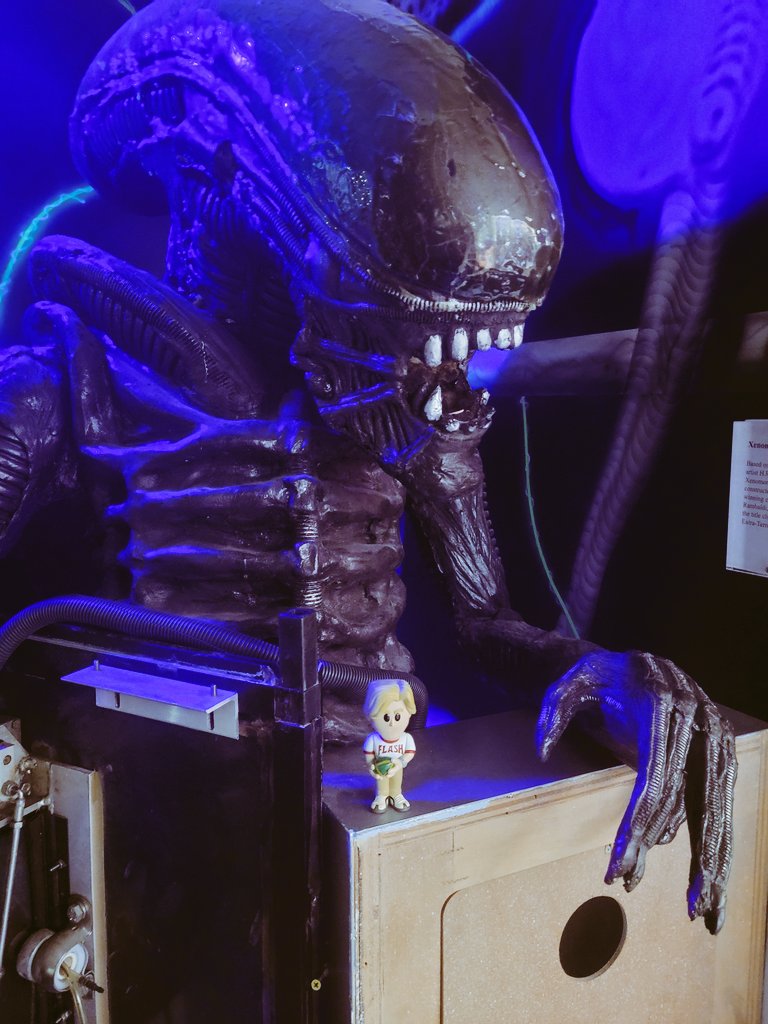 EvilEd76's tweet photo. Flash Gordon at Tom Devlins Monster Museum.
#FunkoSodaSaturday
#Funko
#TomDevlinsMonsterMuseum https://t.co/0Pbn3CrAjR