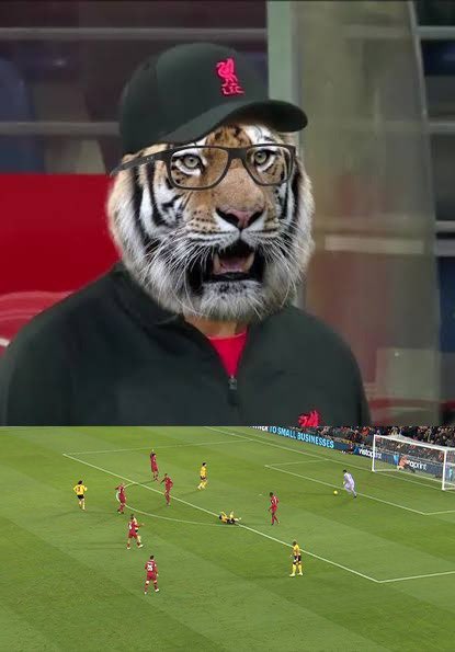 nocontextfooty's tweet photo. https://t.co/vbOZQivmf1