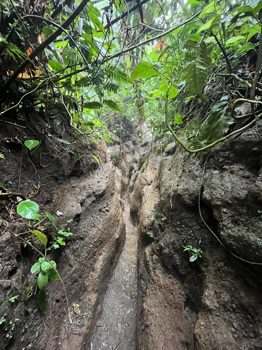 John Burn-Murdoch tweet media