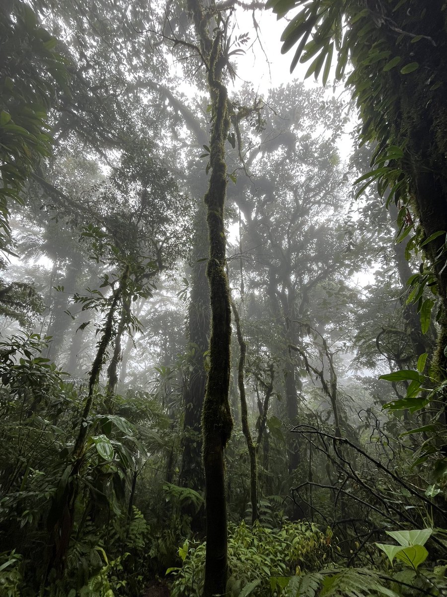 John Burn-Murdoch tweet media