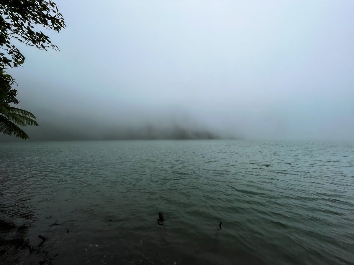 John Burn-Murdoch tweet media