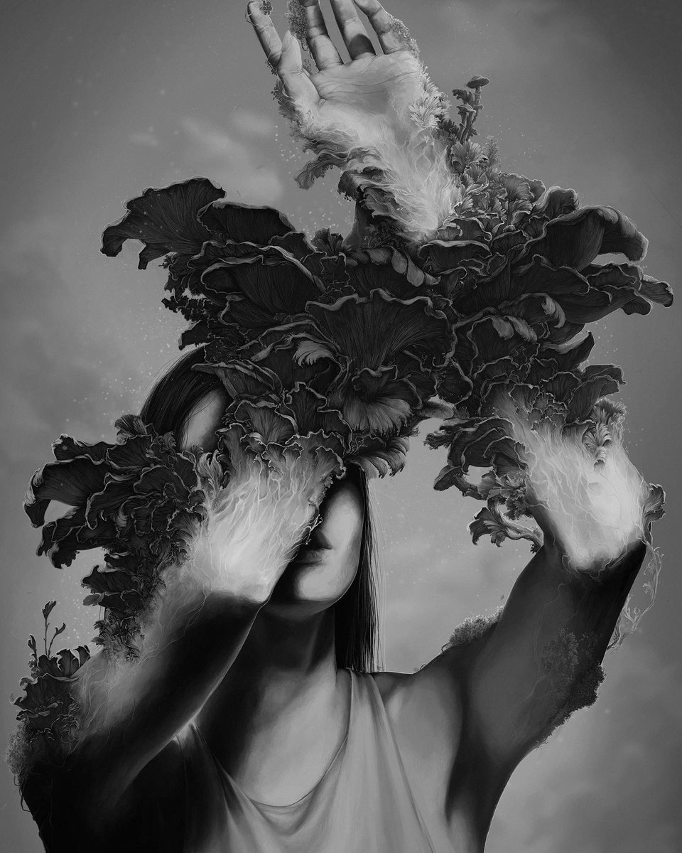 Charlotte_H_Art's tweet image. TRANSCEND.

@Procreate #digitalart #procreateart #procreate #artwork #landscape