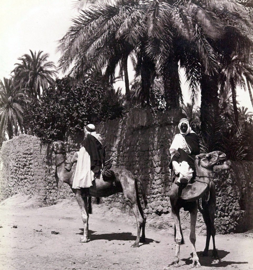 SirajMemoire's tweet photo. Bédouins arabes durant le XIXe et le XXe siècle.

🇯🇴 Jordanie (Tribu #Banū_Adwān).
🇵🇸 Palestine (Tribu #Arakat).
🇩🇿 Algérie (Tribu #Oulad_Naīl). https://t.co/wnd4AX97kW