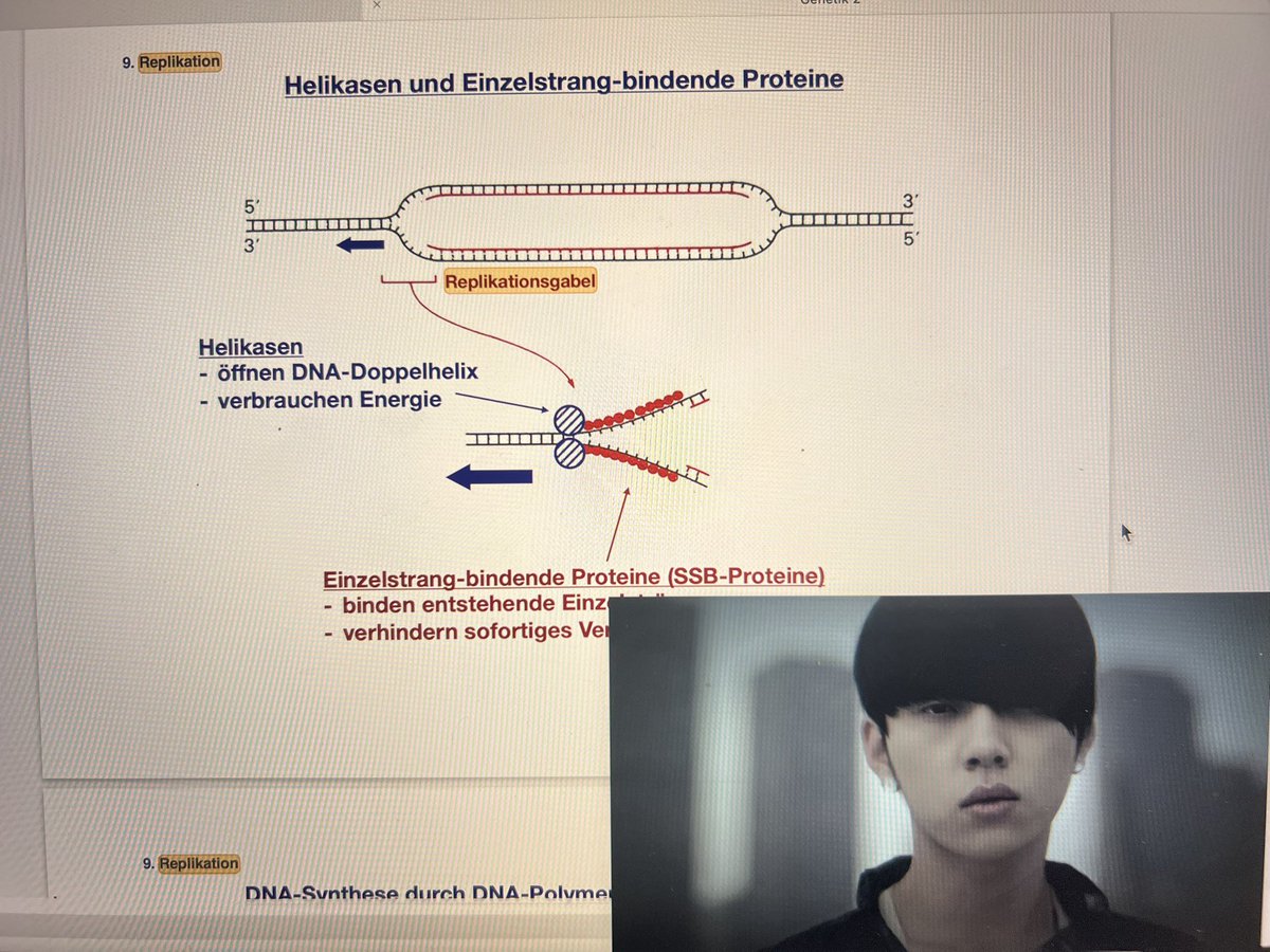 8 gun sonra sinavim var. Ben de dedim ki hemen kendimi sabote etmeliyim ve eski kpop sarki cukuruna dustum🥹