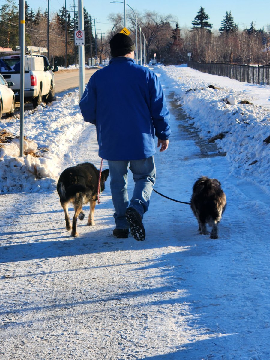 MelAgainstHate's tweet photo. Go chase balls and dog toys in the fields without pain Ollie.
We will miss you but we are all richer for having you in our lives #yeg #yegpets https://t.co/3KrD80almG