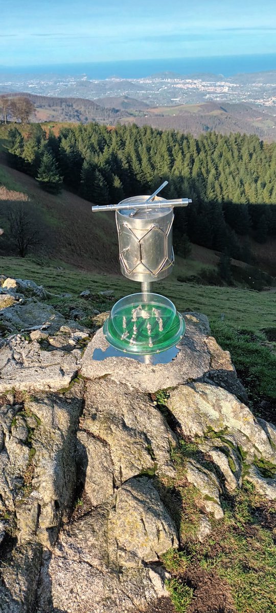 inigosuspe's tweet photo. Bianditz mendi tontorrean jarri ohindu duten jaiotza lapurtu dute.
Ea agertzen den. Zabaltzea eskertuko nuke. https://t.co/NI4o9ote9R