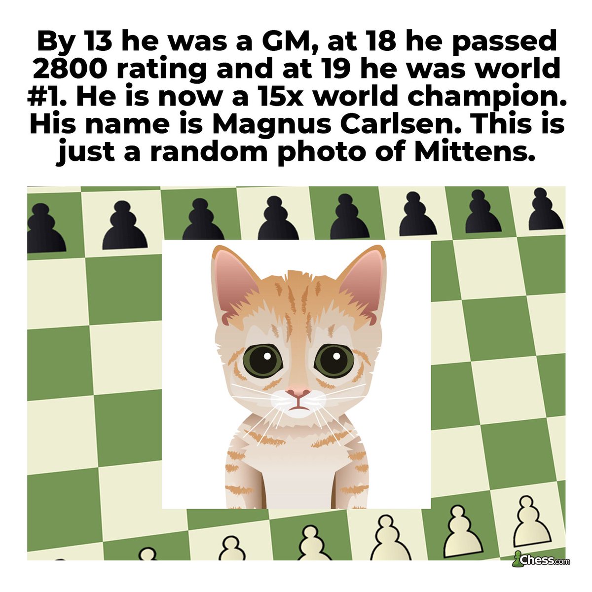 I found out what image Mittens is based from : r/chess