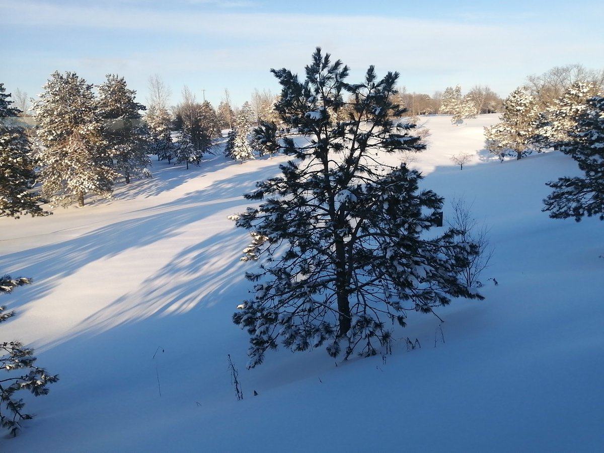 takwid's tweet photo. Come out and play? https://t.co/NCrsuyUxLY