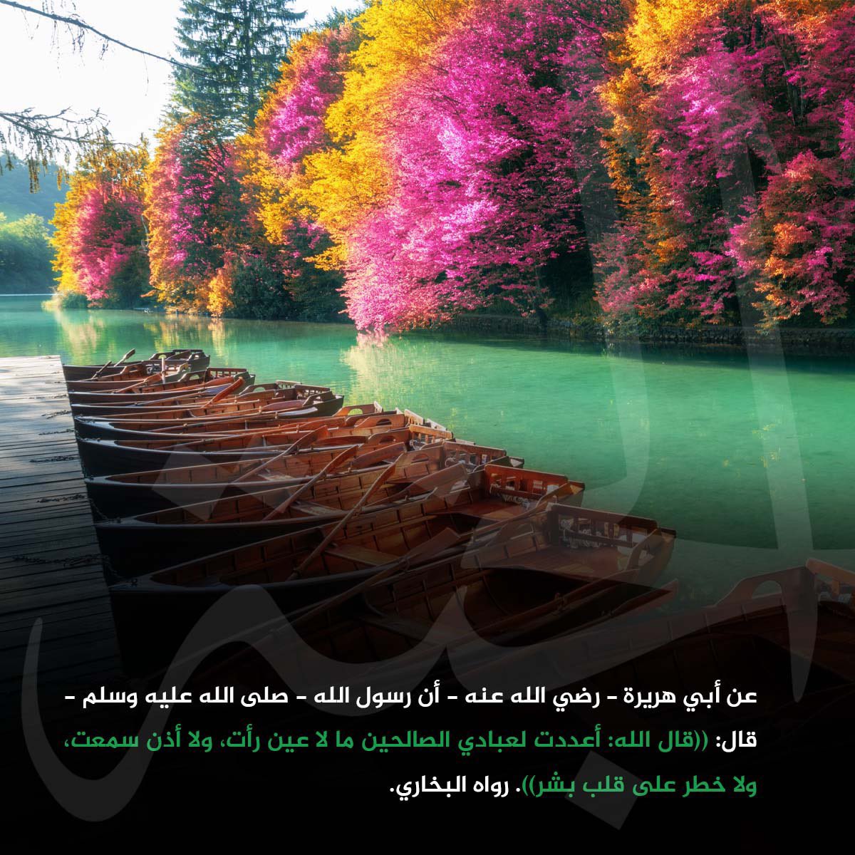 صدقه جاريه عن الملك tweet media