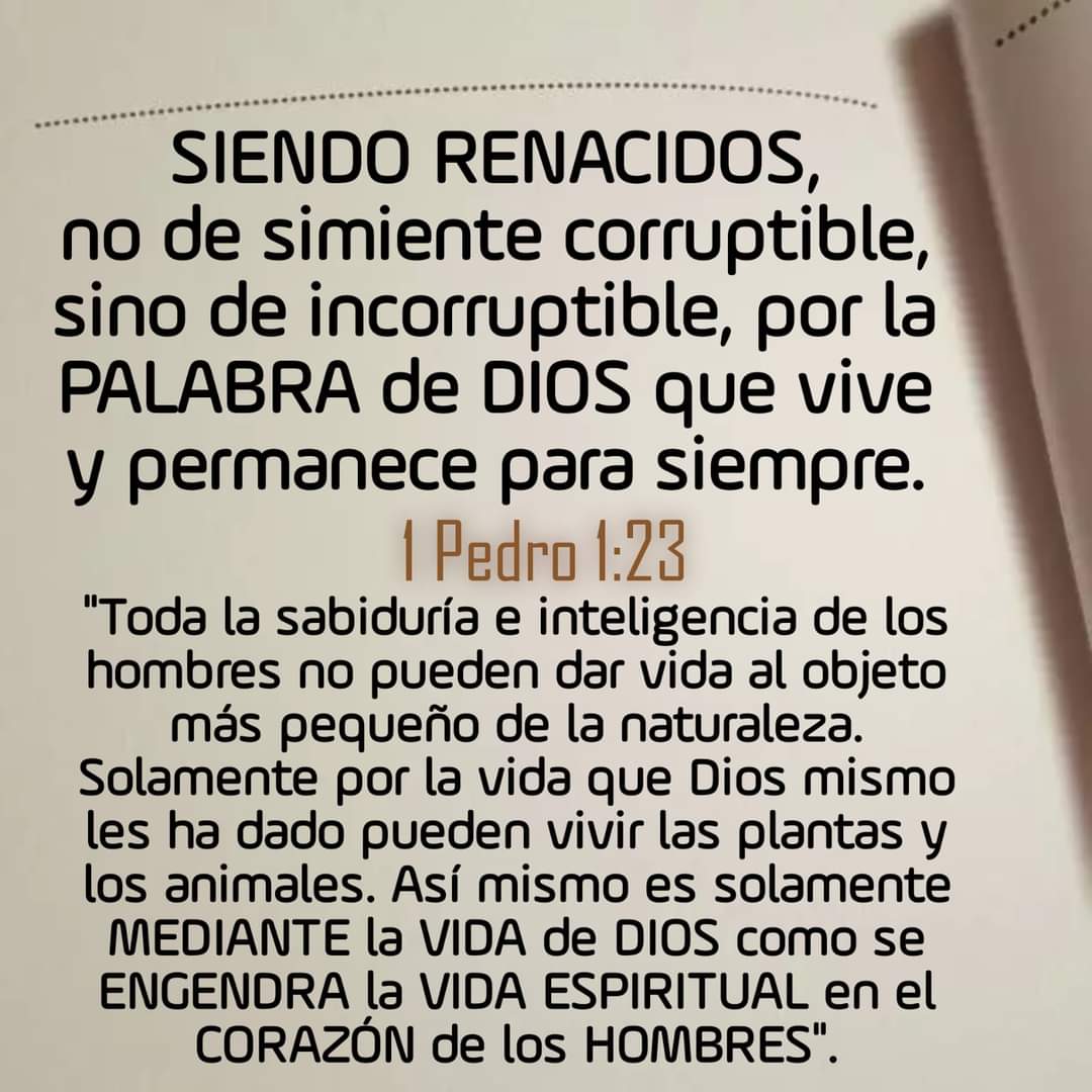 #7Ene|🇻🇪💯💯🎄 

📌 #VenezuelaPróspera
🖍️ <a href="/SoyMartes_13/">xJohan31</a>
🖍️ <a href="/Marbely008/">Marbely</a>
🖍️ <a href="/jamn1309721/">José Montilla🇻🇪💯</a>
🖍️ <a href="/Mippcivzla/">MIPPCI</a>
🖍️ <a href="/NicolasMaduro/">Nicolás Maduro</a>

 ¡Ese es nuestro rumbo!