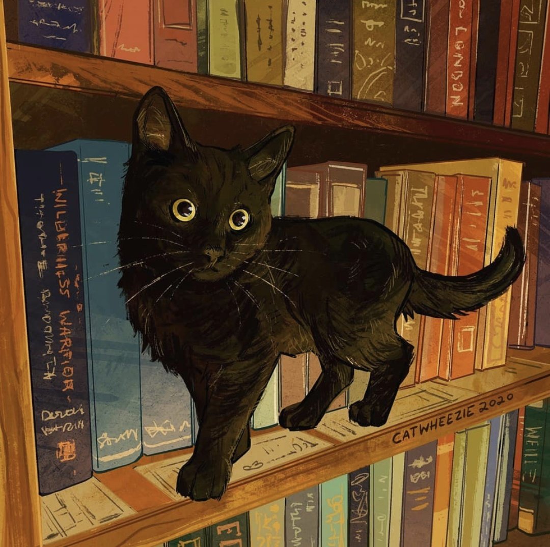 Library cat took around 7 hours to draw...but it was worth it. This one is in my top favorite illustrations I've done :)