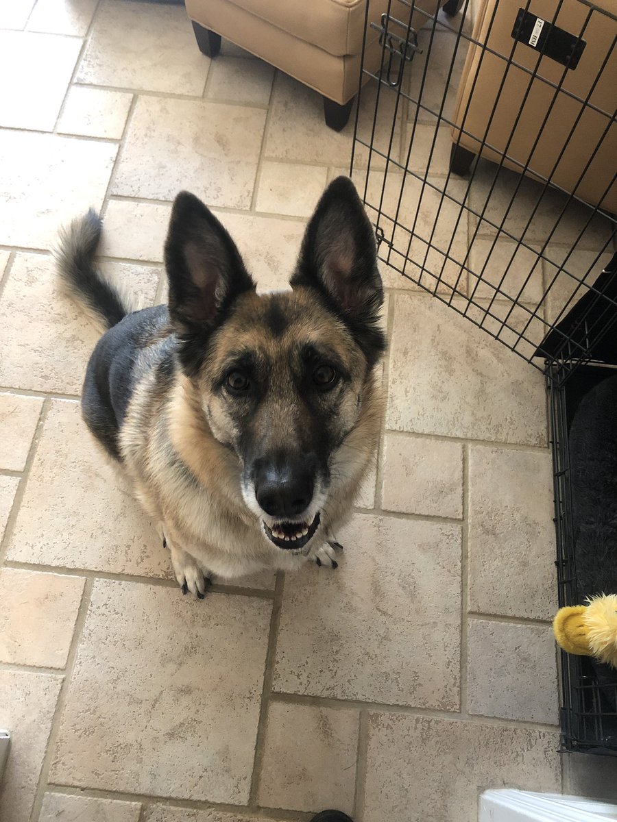 JohnRaconteur's tweet photo. @PhilRosenthal Happy birthday Murray! From Daphne https://t.co/xpwBylLetZ