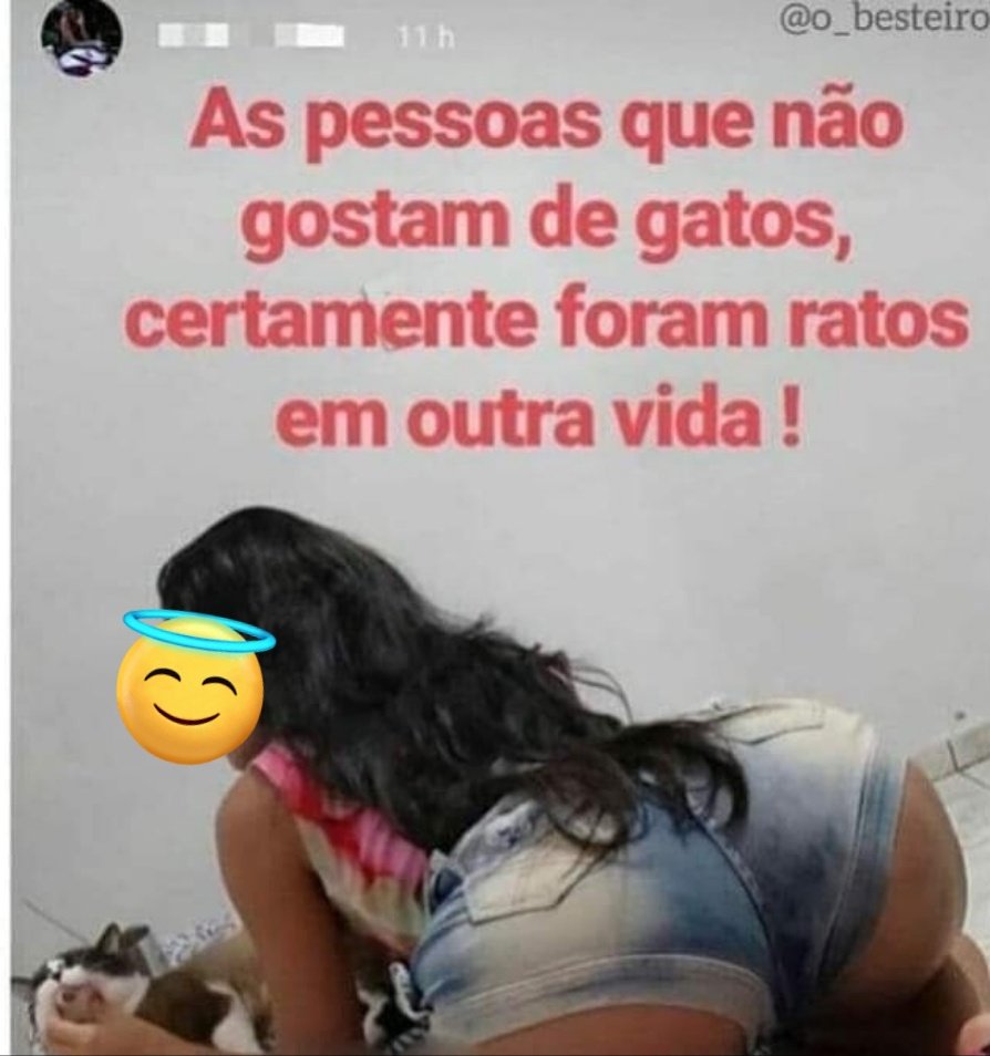shitpostverdade's tweet photo. https://t.co/S3Io8aekCw