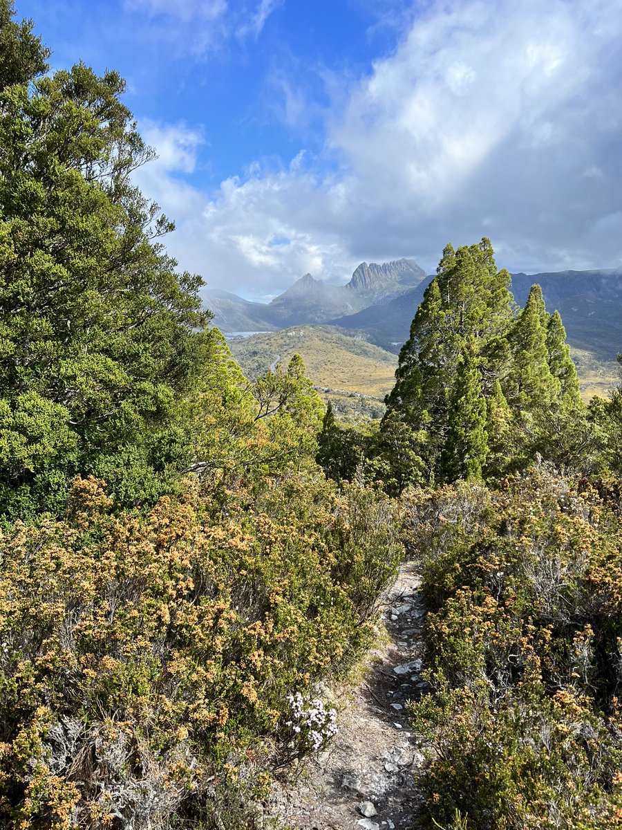 ocelotte's tweet photo. Walk up #MtKate with iconic #CradleMountain in the background. https://t.co/pjgOiHV3kW