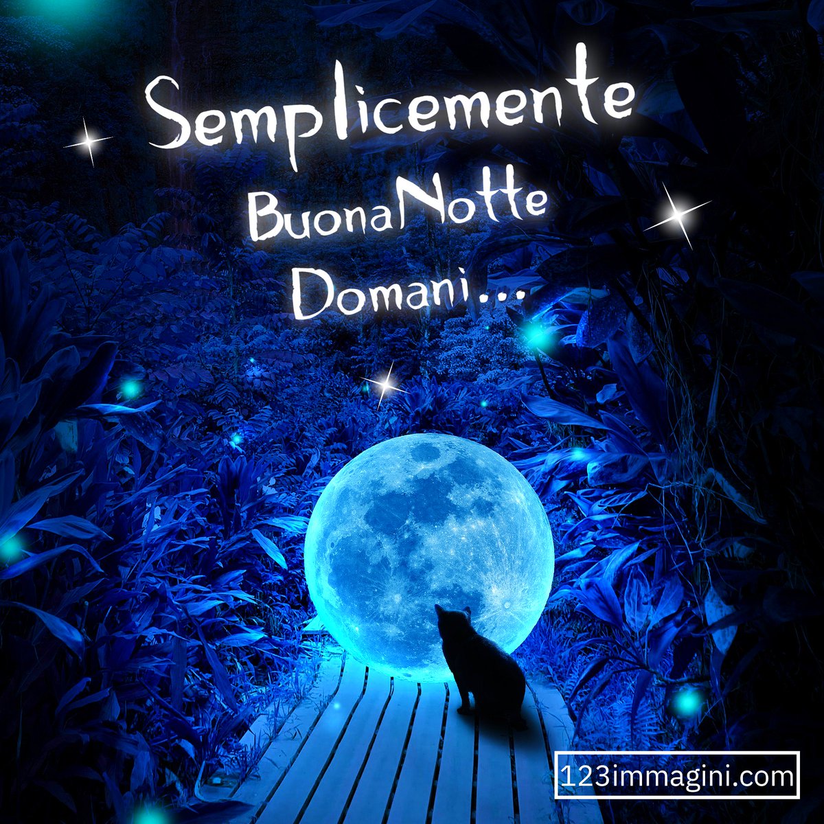 Massimo67755212's tweet photo. @Daniela04086127 sogni doro   top  dei   top https://t.co/yUqj0R8BUN