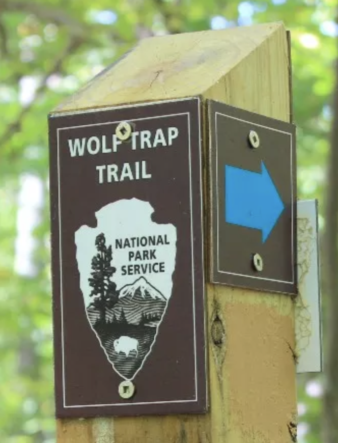 Wolf_Trap's tweet photo. Will you be taking a stroll at @Wolf_Trap_NPS this weekend? 🚶 🚶‍♀️ 

#WolfTrap #VirginiaParks #NPS #WeekendPlans https://t.co/FkcBiATG21