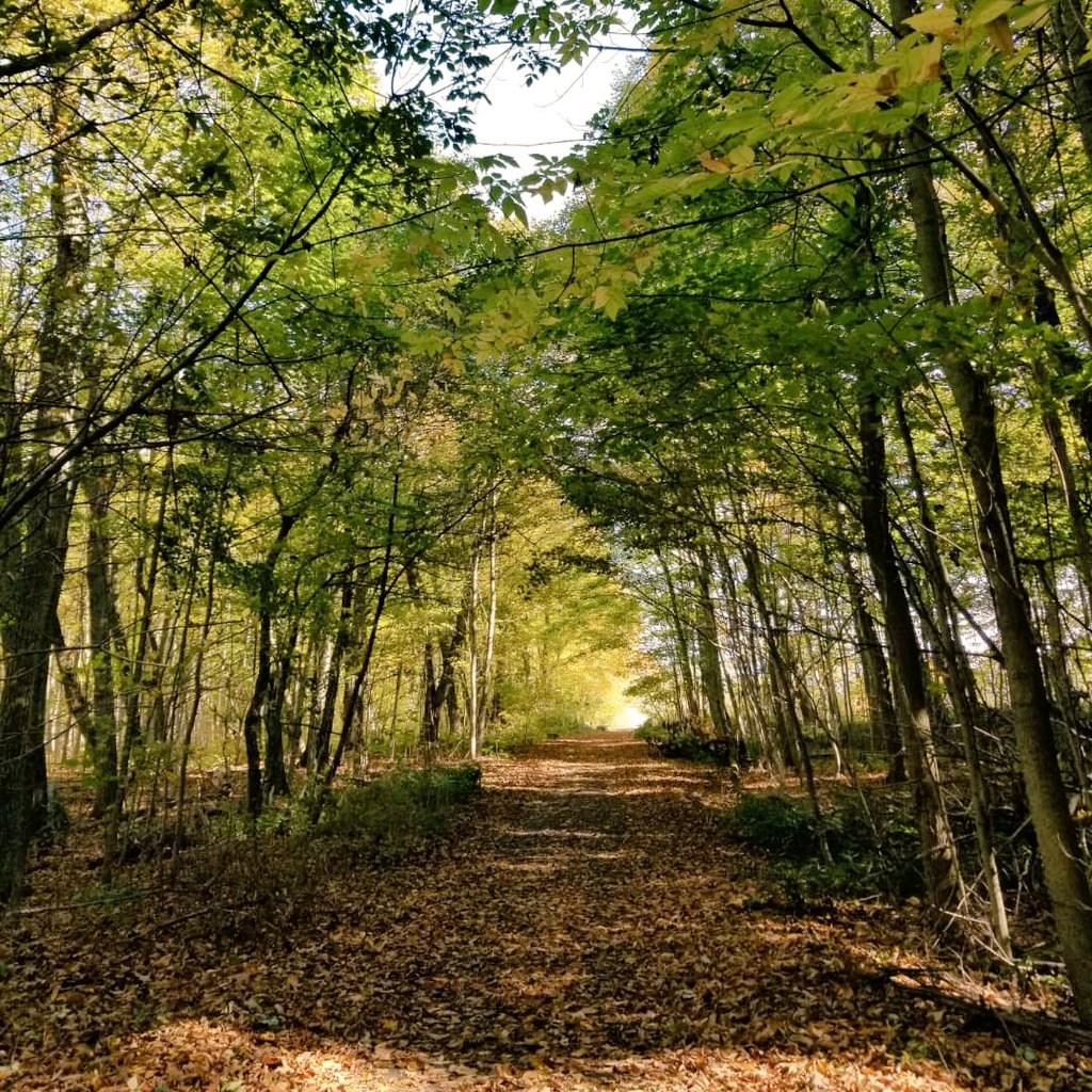 If you need help forgetting the hectic holiday season or just need to rest your mind, tune in to our first show of '23.
We'll treat you to an hour of quiet music from a Belarus-born guitarist, a classically trained pianist who makes cinematic music ++
5:05 pm