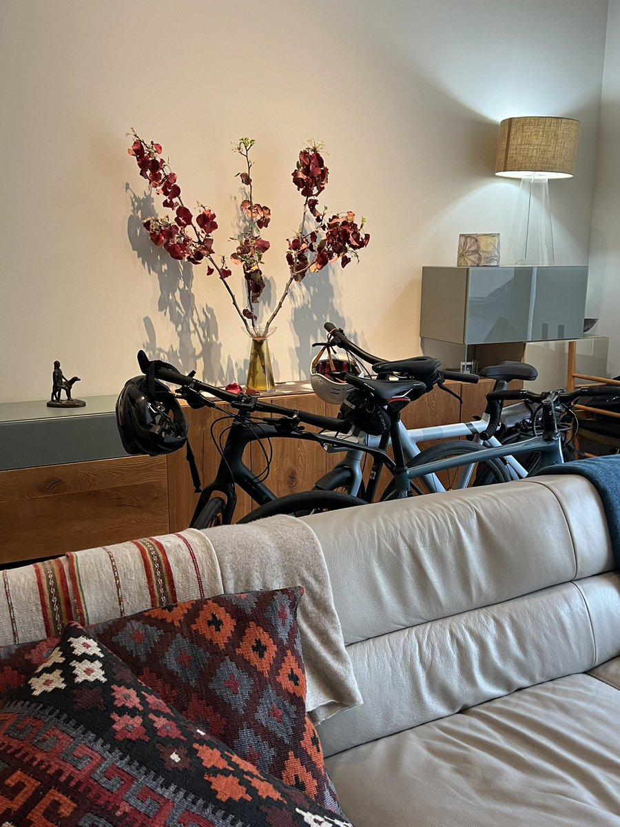 Architects: anyone designing indoor spaces for bicycles??? Especially e-bikes in apartments. Here’s my own #bikestorage space, which I reluctantly agreed to, but have come to appreciate. #Ebikes #CancelCars