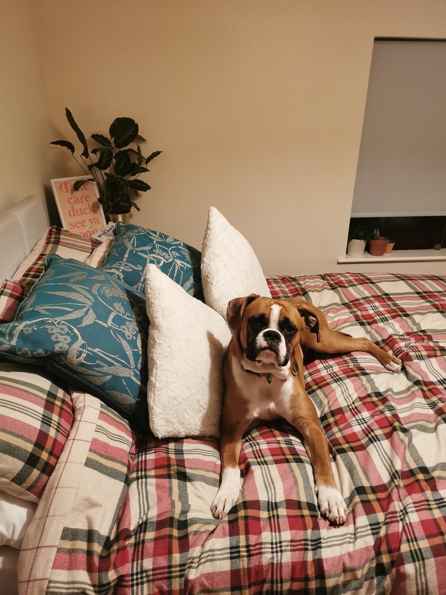 Helen Dawson tweet media