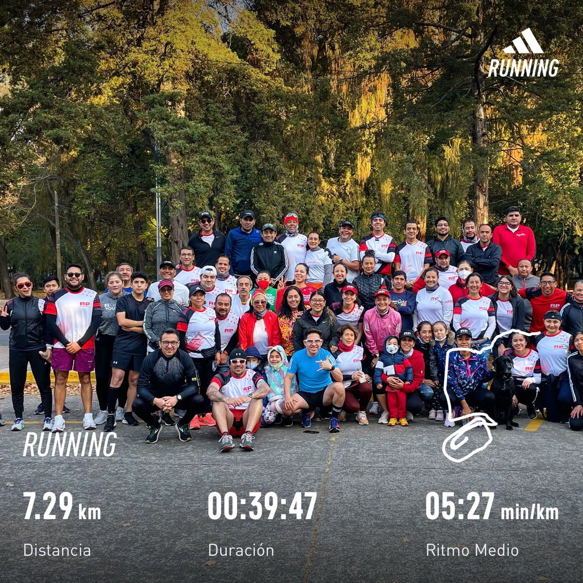 𝐑𝐚ú𝐥 𝐏𝐚𝐫𝐞𝐝𝐞𝐬 𝐏𝐞ñ𝐚 tweet media