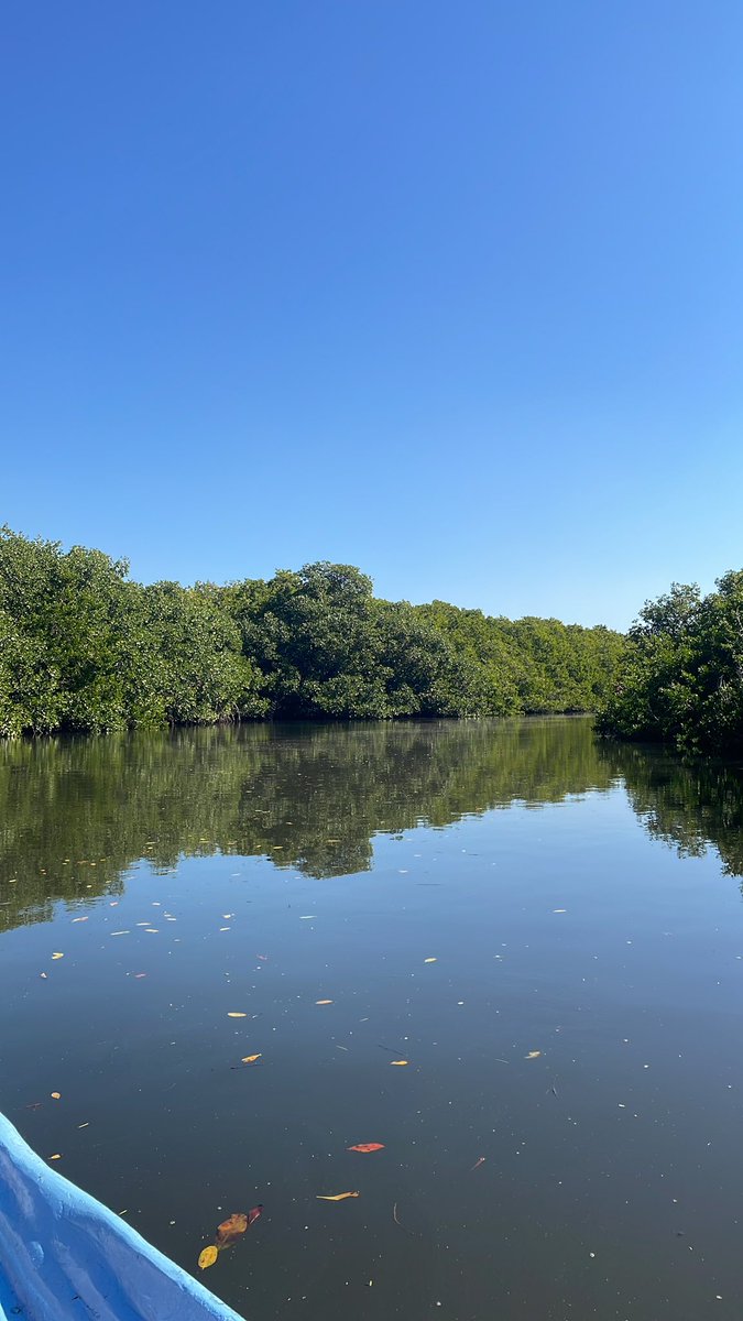 VisitMazatlan tweet media