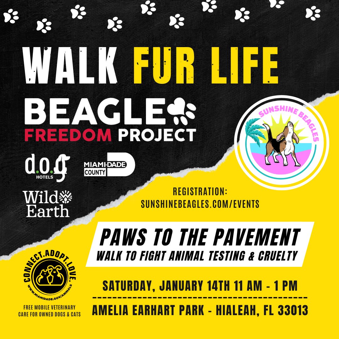 Beagle Freedom Project on Twitter: Beagle Freedom Project on Twitter: